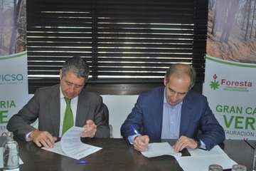 Foresta y Vidrieras Canarias presentan en Telde el proyecto de restauración ambiental â€˜Gran Canaria verdeâ€™ (Foto TA)